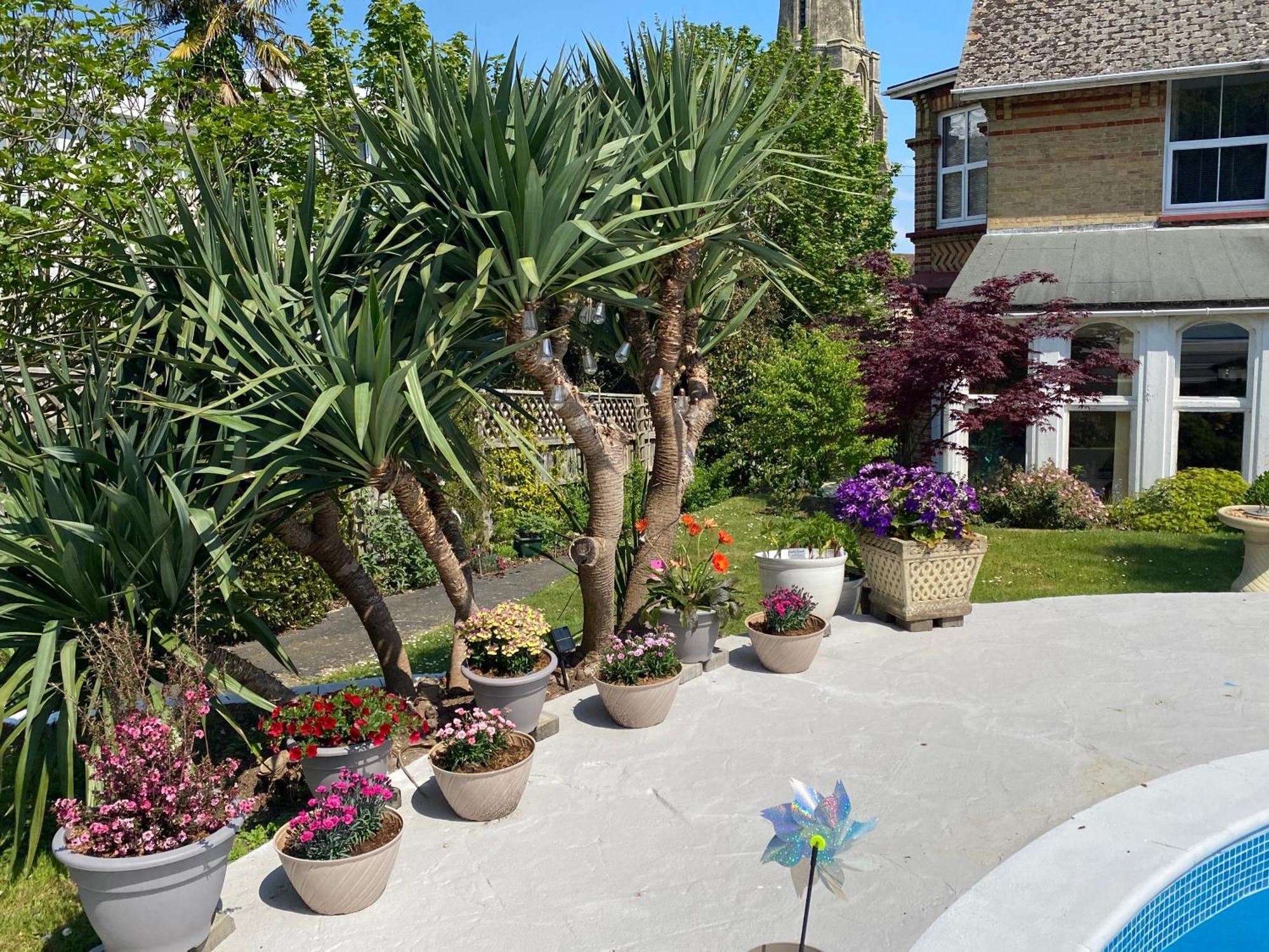 The Belmont Hotel Shanklin Luaran gambar